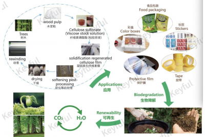 纖維素膜在環(huán)保包裝領域具有不可替代性